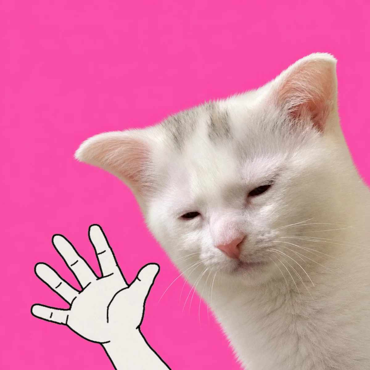 Exhausted Cat waving weakly